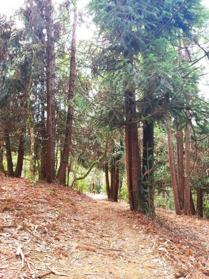 Recanto das Cerejeiras - image 23