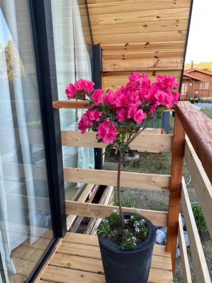 Chalés entre Nuvens - image 28