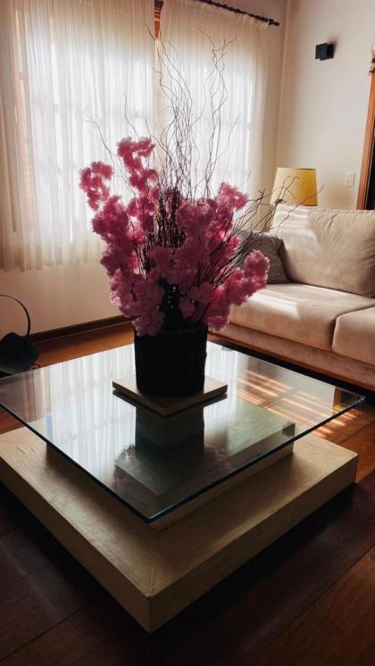 Village de France Araucárias - image 23