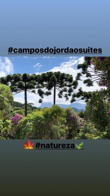 Campos do Jordao Suites - image 4