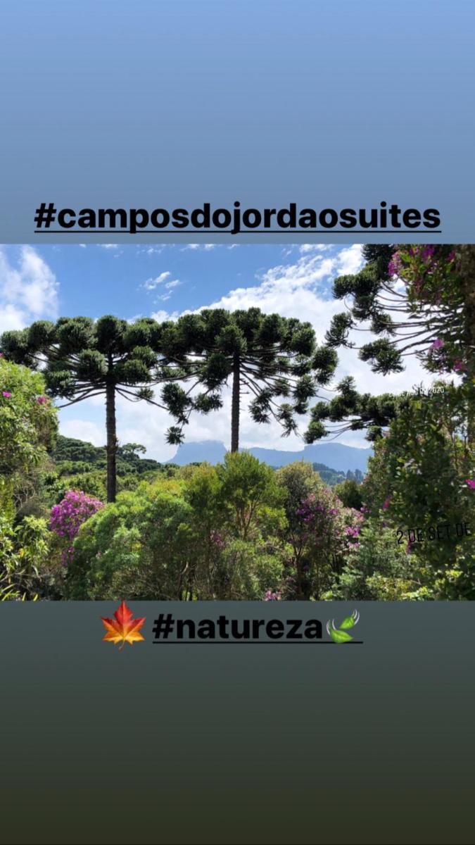 Campos do Jordao Suites - image 4